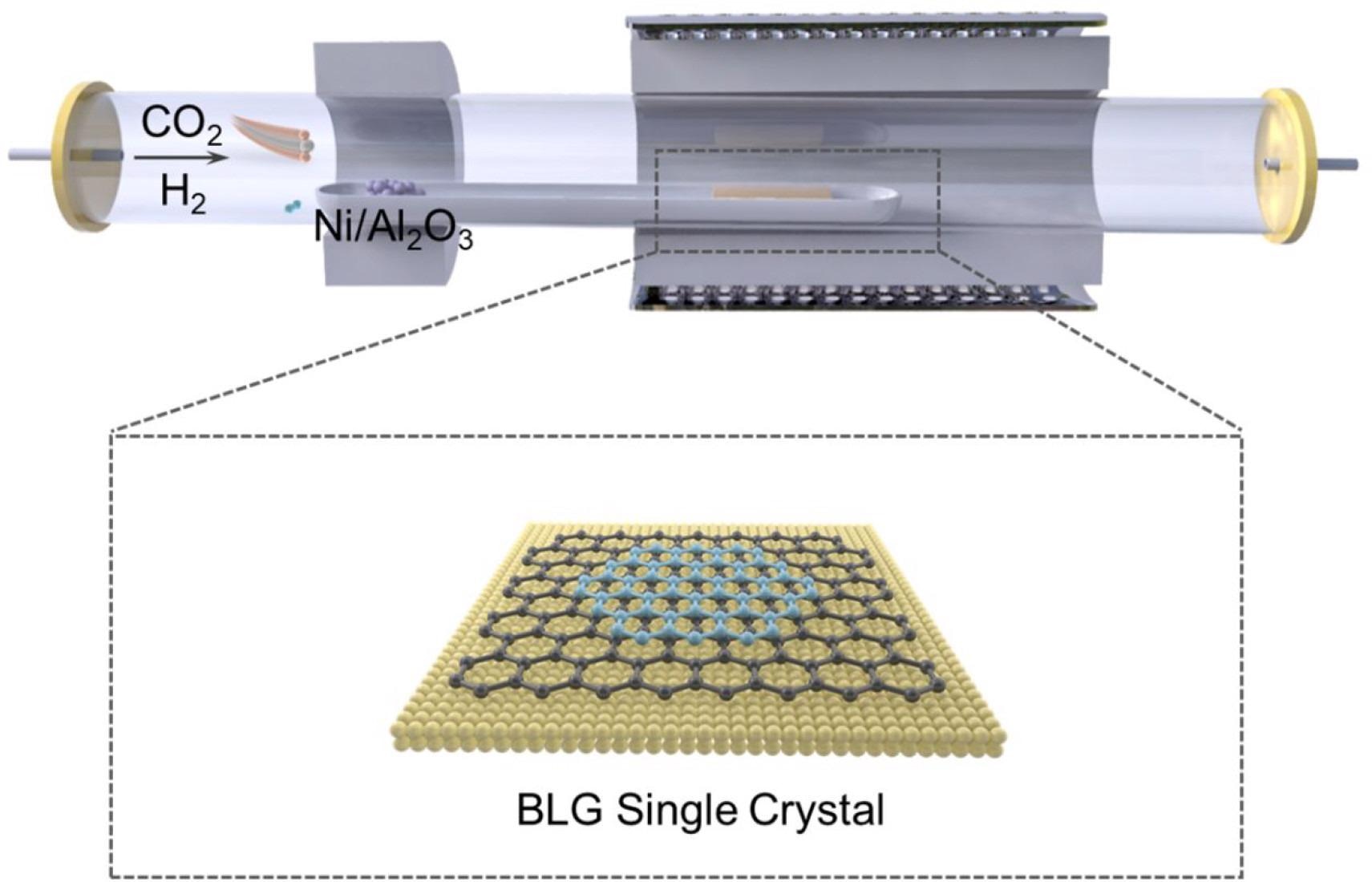 Schematic illustration of the BLG single crystal growth process.
