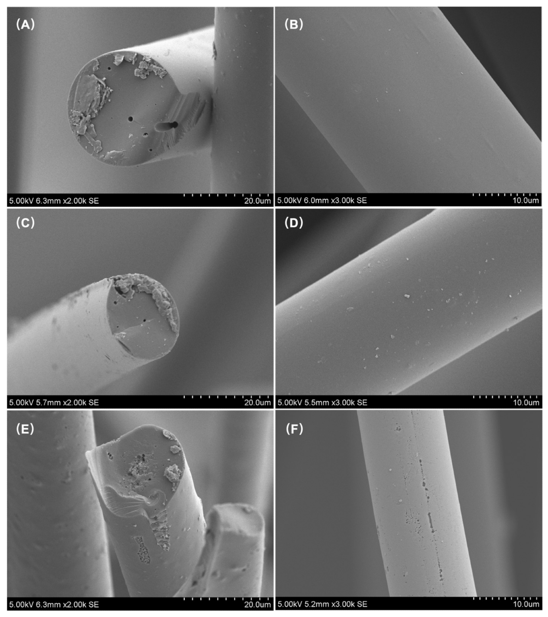 SEM images of LWACFs activated for 60 min (A,B), 140 min (C,D), and 220 min (E,F) at 800 °C.
