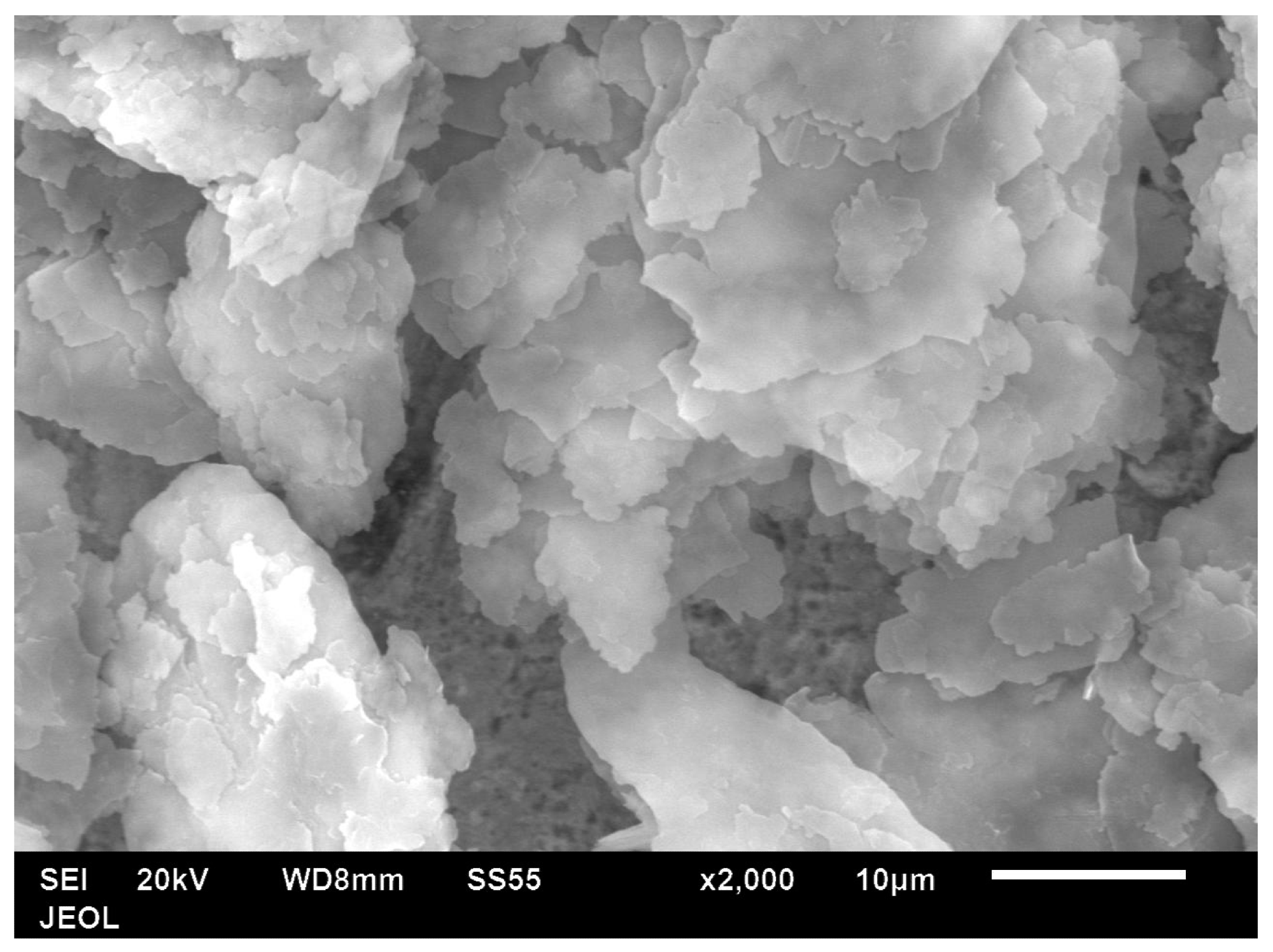 SEM image of Al nano platelet particles.
