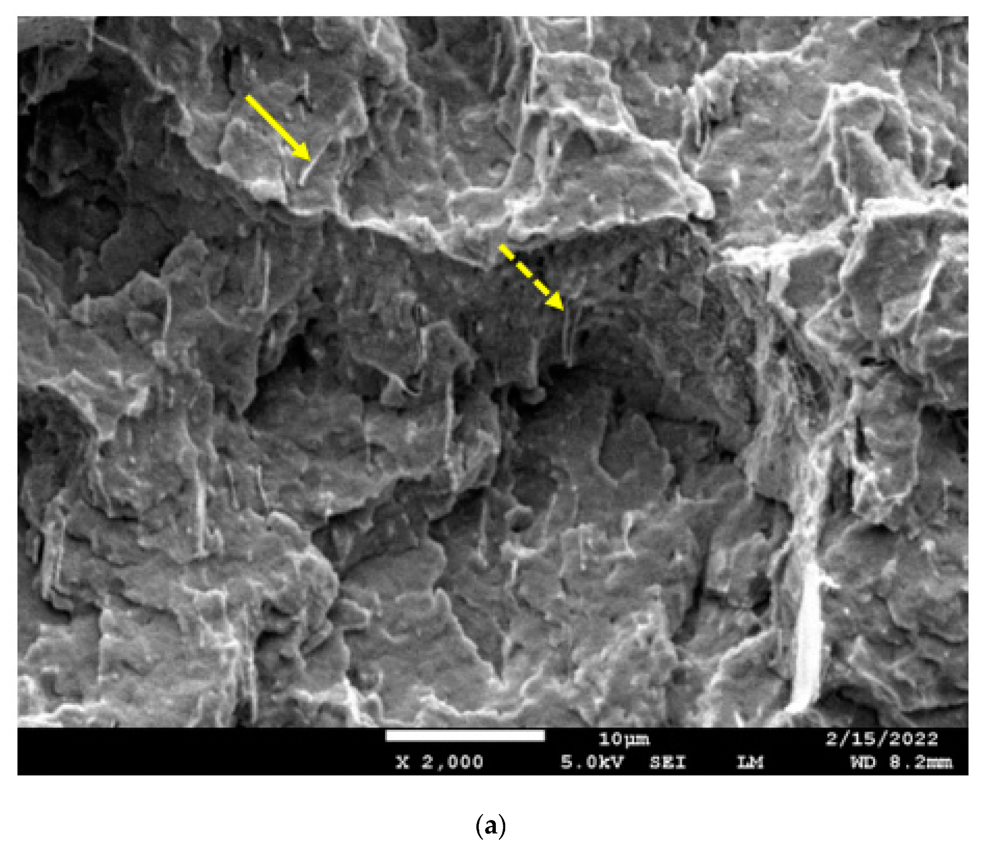 (a) SEM image of the cryo-fracture surface of a bar of the 60/40 PBT/PET blend with 10 vol.% Al flakes. The platelets are seen edgewise. The rectangle in the left corner is the cross-section of the bar (not to scale) and is placed to visualise the platelet orientation relative to the bar. The arrow shows polymer coating on a platelet. Dotted arrow shows a folded platelet. The white size bar = 10 µm. (b) SEM image of the cryo-fracture surface of a bar of the 60/40 PBT/PET blend with 25 vol.% of Al nano platelets. The platelets are seen edgewise. The arrow shows a folded platelet with polymer coating. The white size bar = 10 µm.