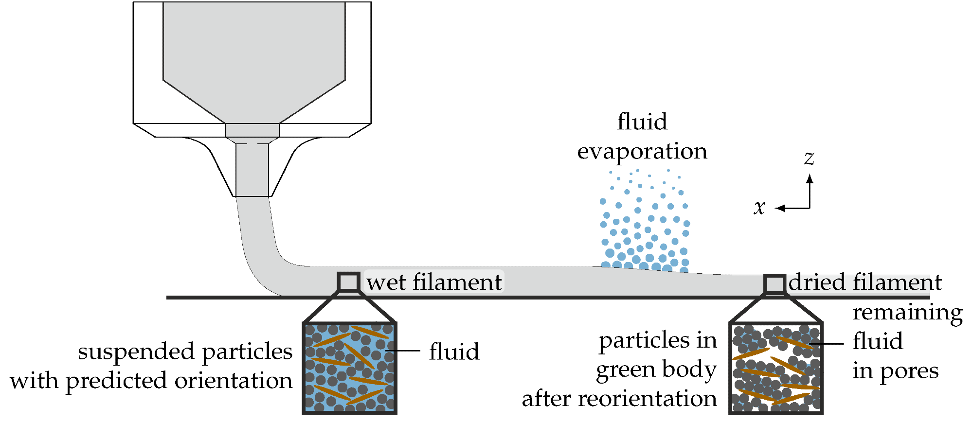 Overview figure of the scope of this work. The figure shows an illustration of the robocasting process that extrudes a ceramic filament. A zoom shows the microstructure in the wet filament that is usually predicted using numerical simulation or analytical models. After printing, the carrier fluid evaporates, during which the particle orientation changes (second microstructure), yielding the microstructure that can be measured in the experiment.