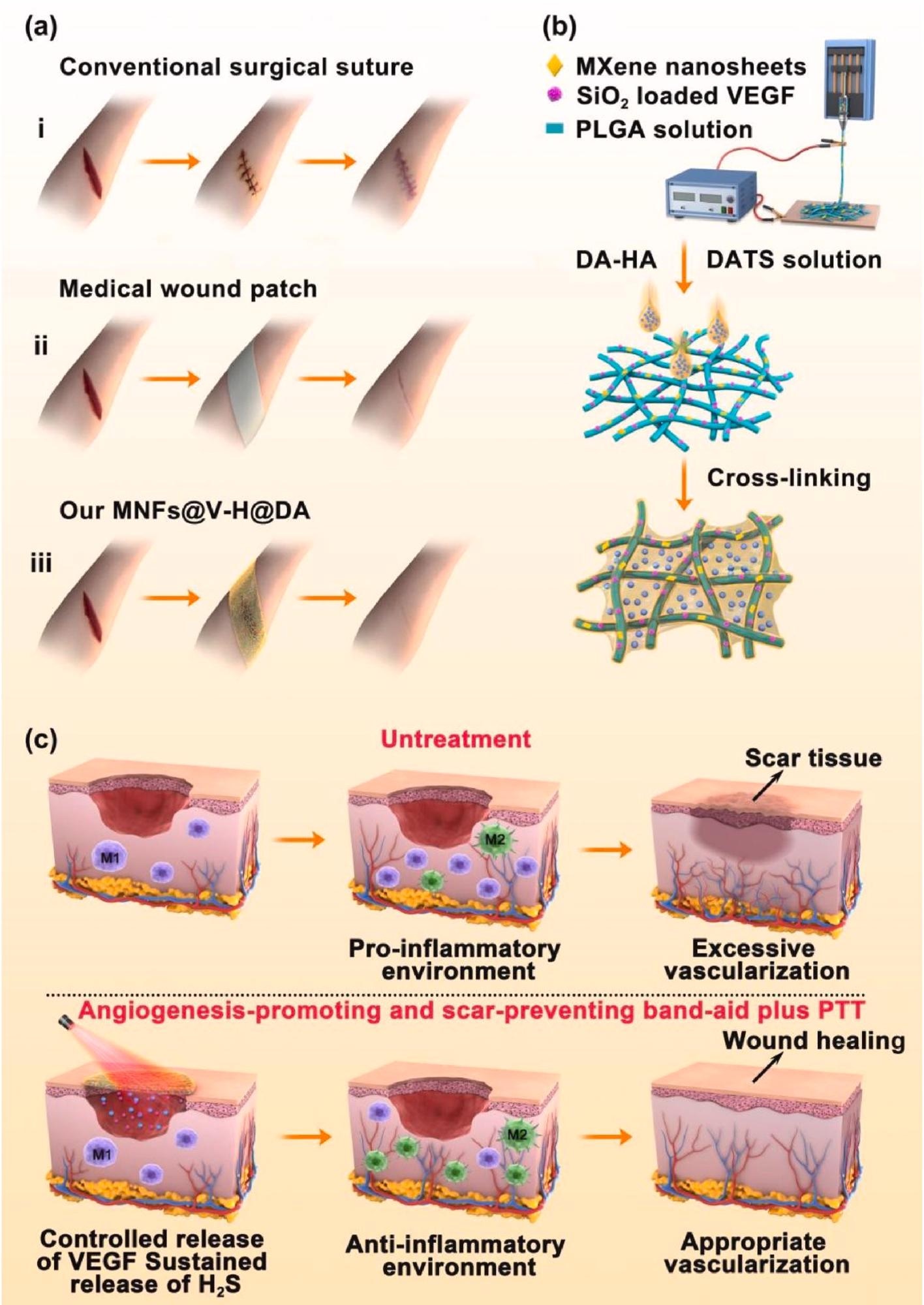 Preparation process, and wound healing process of MNFs@V–H@DA. Various wound healing materials (a), i: traditional surgical suture, ii: medical wound patch, iii: our MNFs@V–H@DA. Scheme of MNFs@V–H@DA fabrication by electrospinning process and surface coating (b). The mechanism of MNFs@V–H@DA on wound healing (c).