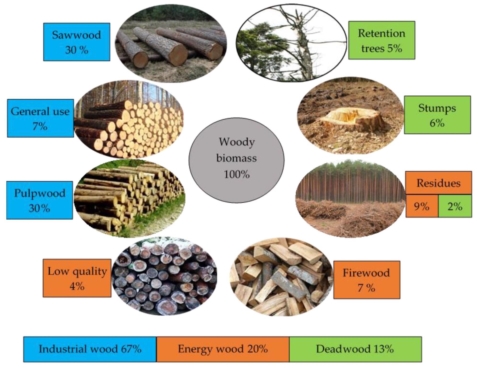The balance and hierarchical use of the woody biomass according to economic and ecological principles.