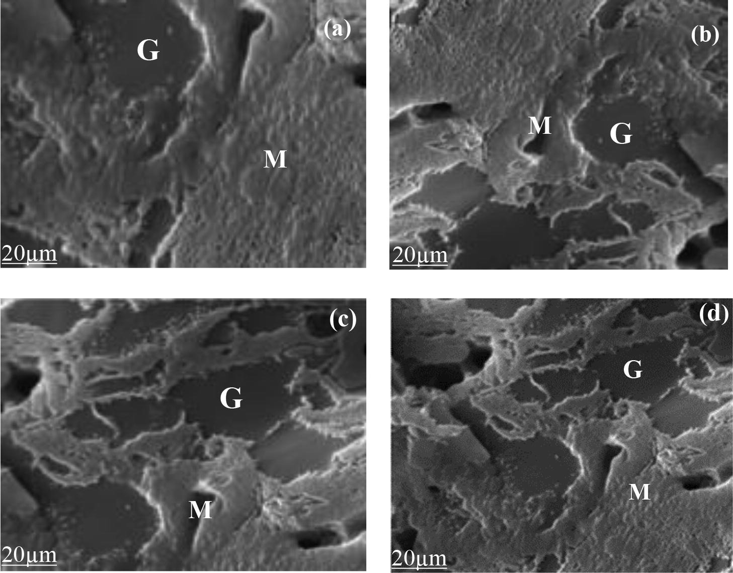 SEM micrographs of ceramic samples with a) 30 wt% of GP b) 35 wt% of GP c) 40 wt% of GP and d) 45 wt% of GP fired 1200 °C showing glass (G) and mullite (M) phase.