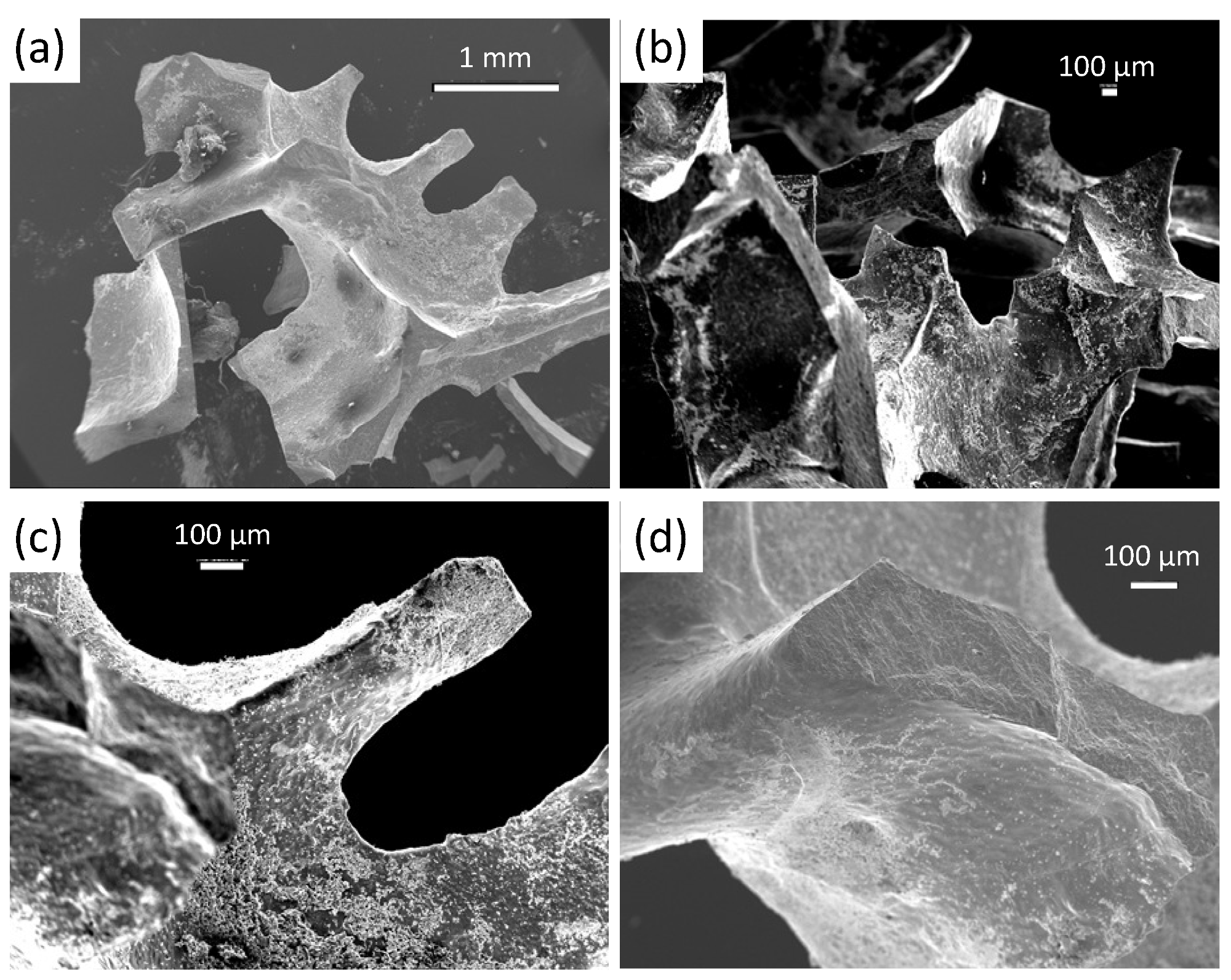 (a–d) SEM images at low magnification of broken-out foam strut pieces from a superconducting YBCO foam (magnification 25× (a), 35× (b), 85× (c) and 95× (d)), giving information of the real foam microstructure and the various internal surfaces existing in the open-cell foam structure. Note the rough character of the as-grown strut surfaces of the YBCO foam. The images further demonstrate the irregular shape and size distribution of the foam struts, which need to be modelled.