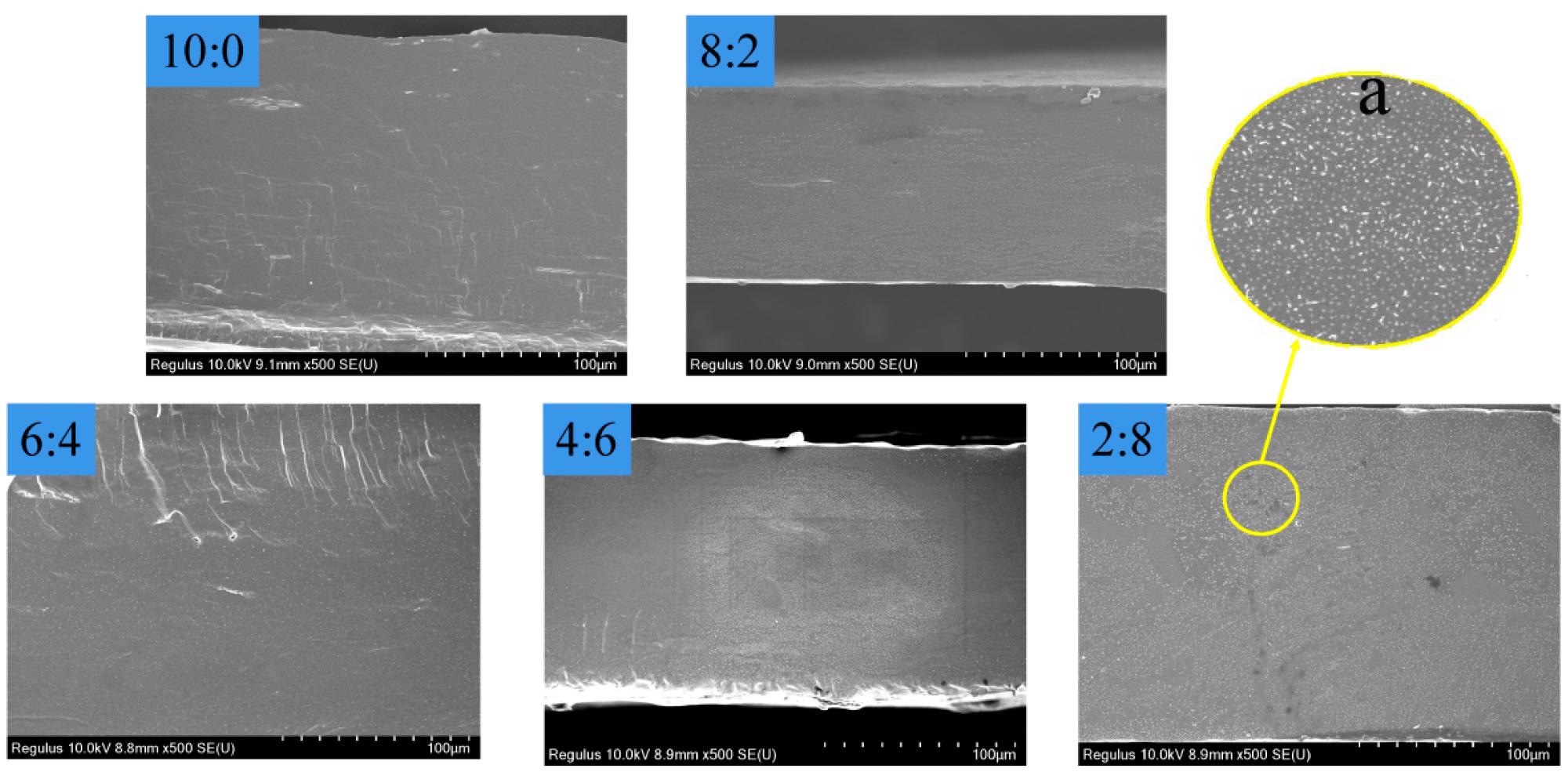 The SEM images of the composite films with different mass St/PL ratios. (a) Magnification ×10.