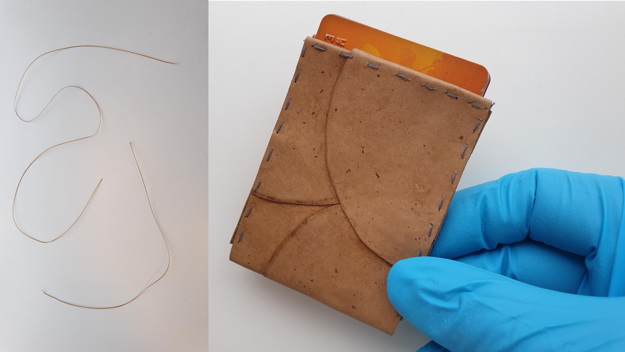 Bread-Eating Fungi Converts Food Waste into Sustainable Faux Leather.