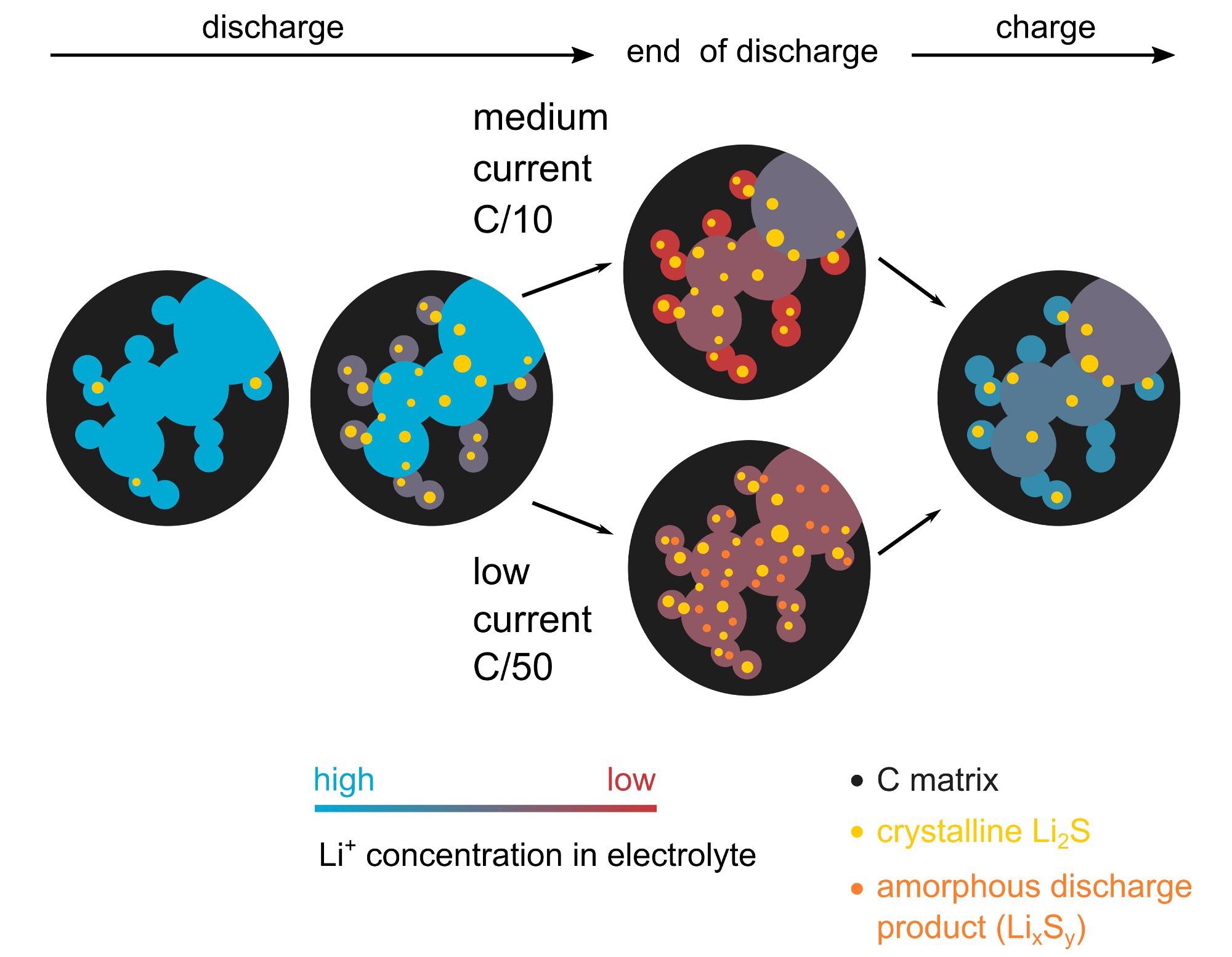 Study Identifies the Processes that Limit the Performance of Lithium-Sulfur Batteries.