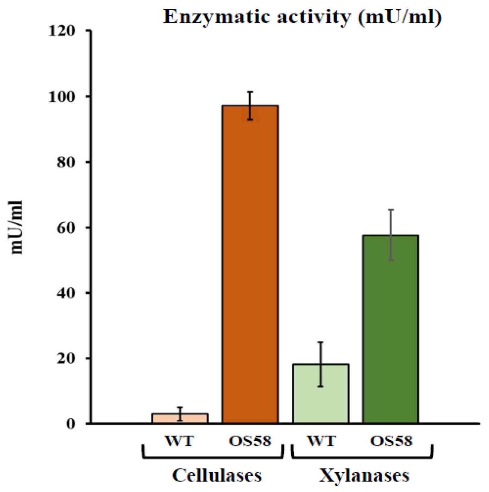 The enzymatic activity of cellulases (in orange) and xylanases (in green) in the WT and OS58 strains (as indicated on the x-axis). Cells were grown in a chemically defined medium for 24 h and assayed with a commercial kit. Enzymatic activity (in mU/mL of spent medium) is reported on the y-axis. Values represent the average of at least five independent experiments. Error bars represent the standard error of the mean (SEM).