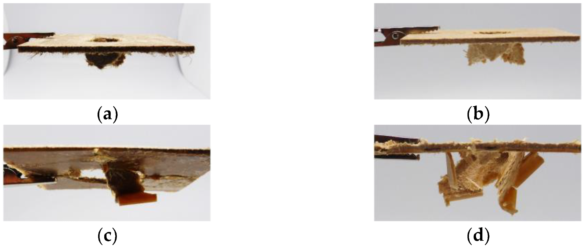 Exemplary specimen after impact test. (a) natural fiber non-woven; (b) wood fiber non-woven; (c) natural fiber non-woven with reinforcement rib (hybrid); (d) wood fiber non-woven with reinforcement rib (hybrid).