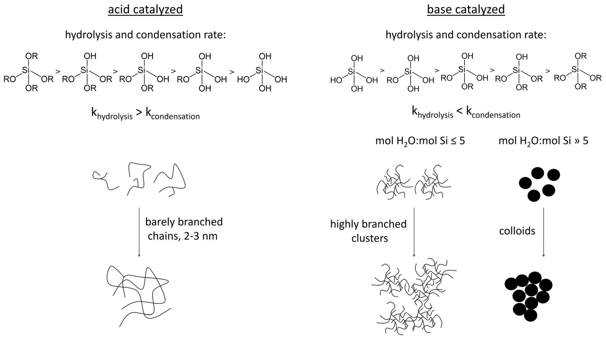 Schematic presentation of hydrolysis and condensation of alkoxysilanes under acidic and alkaline conditions, modified from [58,60,61,63].