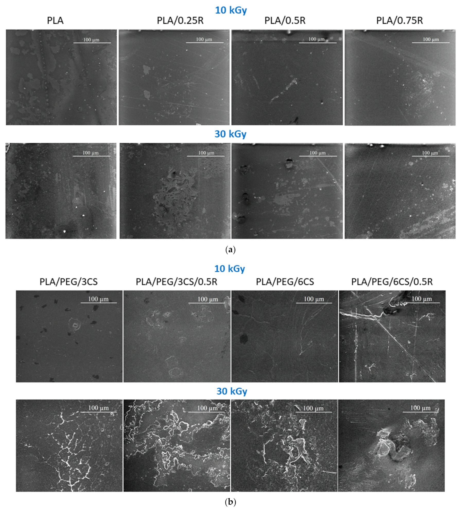 SEM pictures of the surface of the PLA and PLA/R blends (a), and of PLA/PEG/CS and PLA/PEG/CS/R biocomposites (b) at various gamma irradiation doses; magnification 1000×, scale—100 µm.