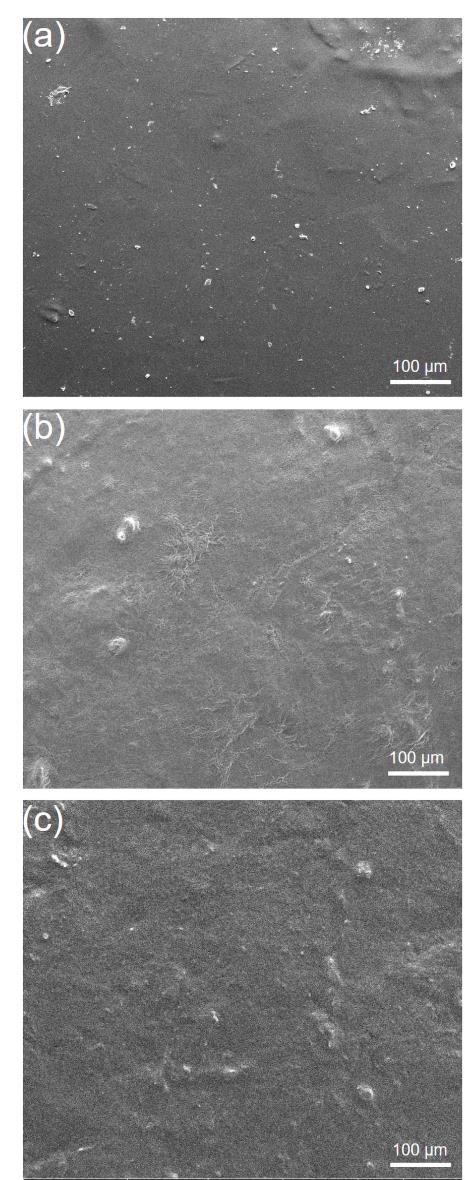 SEM images of the (a) initial poly (AAm-MPC-ZMA) hydrogel coating, (b) poly (AAm-MPC-ZMA) hydrogel coating after 3 cycles of the test, and (c) poly (AAm-MPC-ZMA) hydrogel coating after 10 cycles of the test.