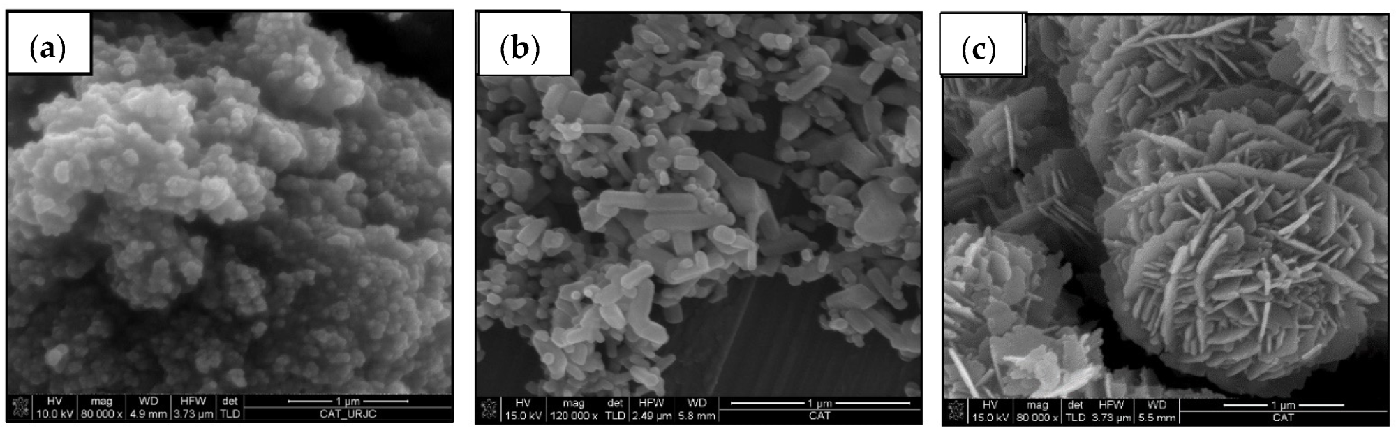 FEG-SEM micrographs of ceramic particles: (a) commercial TiO2, (b) commercial ZnO and (c) recycled ZnO.