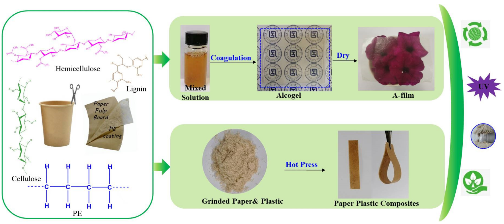 Process of converting waste disposable paper cups (WDPC) into cellulose-based films (H-film and A-film) and paper plastic composites (PPC) by AmimCl and hot press methods.