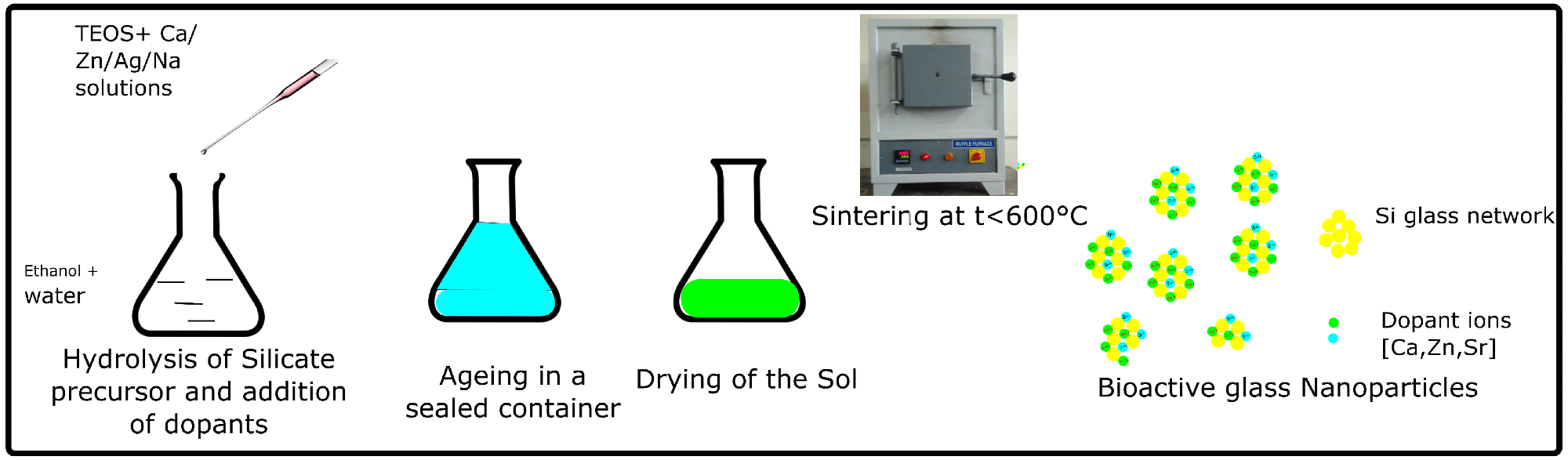 Schematic of the sol–gel synthesis of bioactive glass nanoparticles (image adapted from CC BY-SA 3.0).