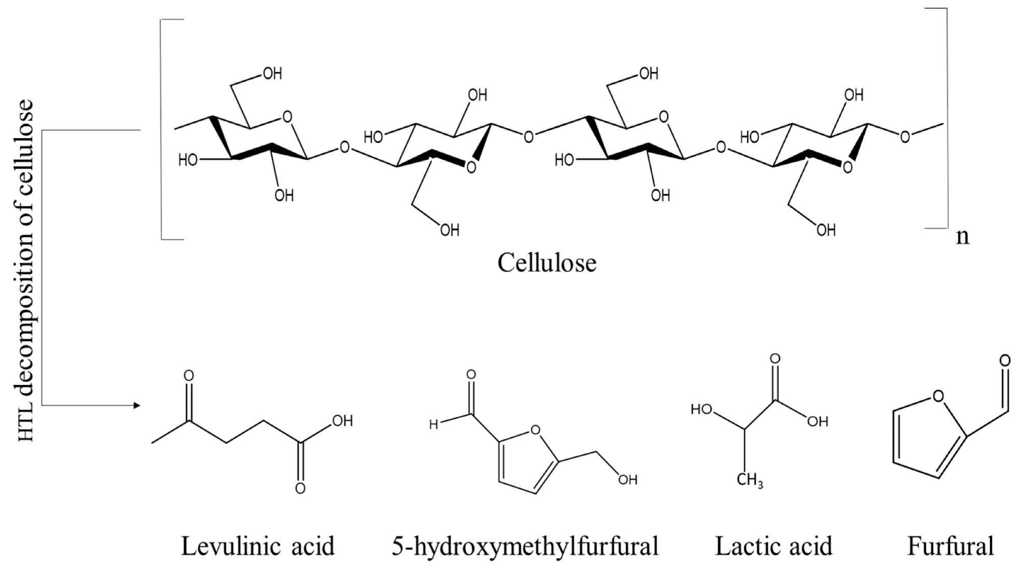 Decomposition products during cellulose liquefaction.