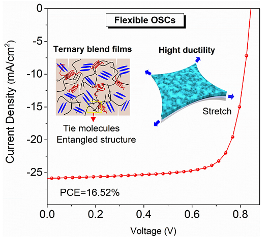 Experts Develop High-Performance Flexible Organic Solar Cells with Excellent Thermal Stability and Stretchability