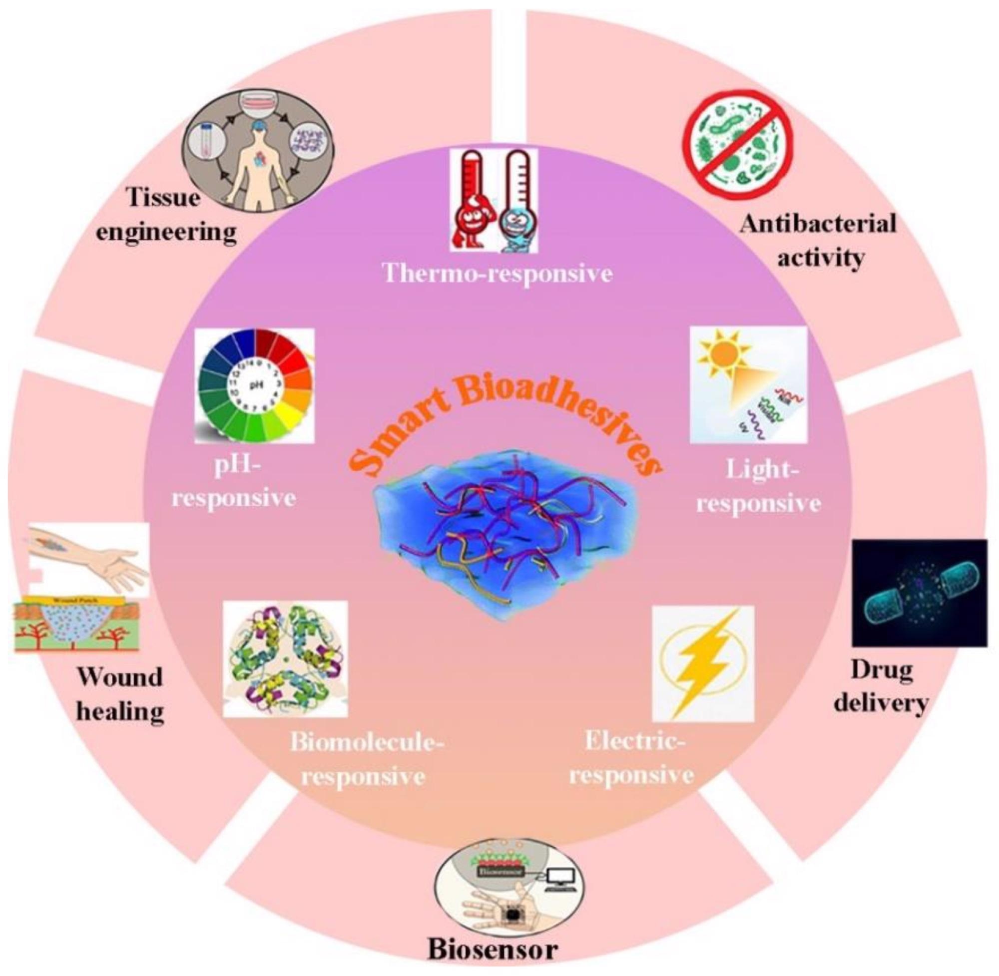 Schematic representation of various types of intelligent bioadhesives applied for different biomedical applications