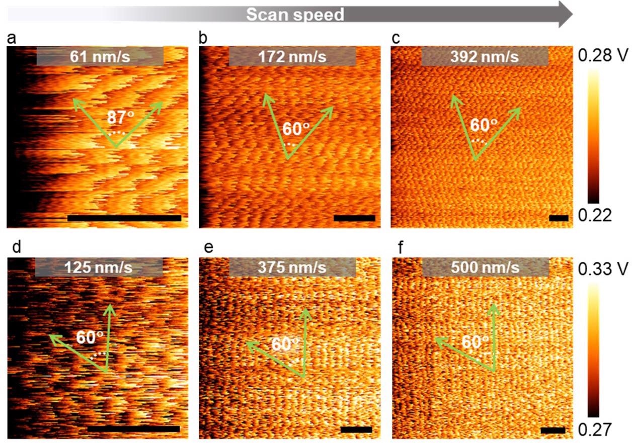 The effect of slew rate on LFM grating images (adjusted color gamut).  (a–c) LFM raw data of MoSe2 at different scan rates (calibrated scale bar: 1 nm);  (d–f) LFM raw data of graphene at different scan speeds (scale bar: 1 nm).  All green arrows are aligned in the direction of the zigzag.