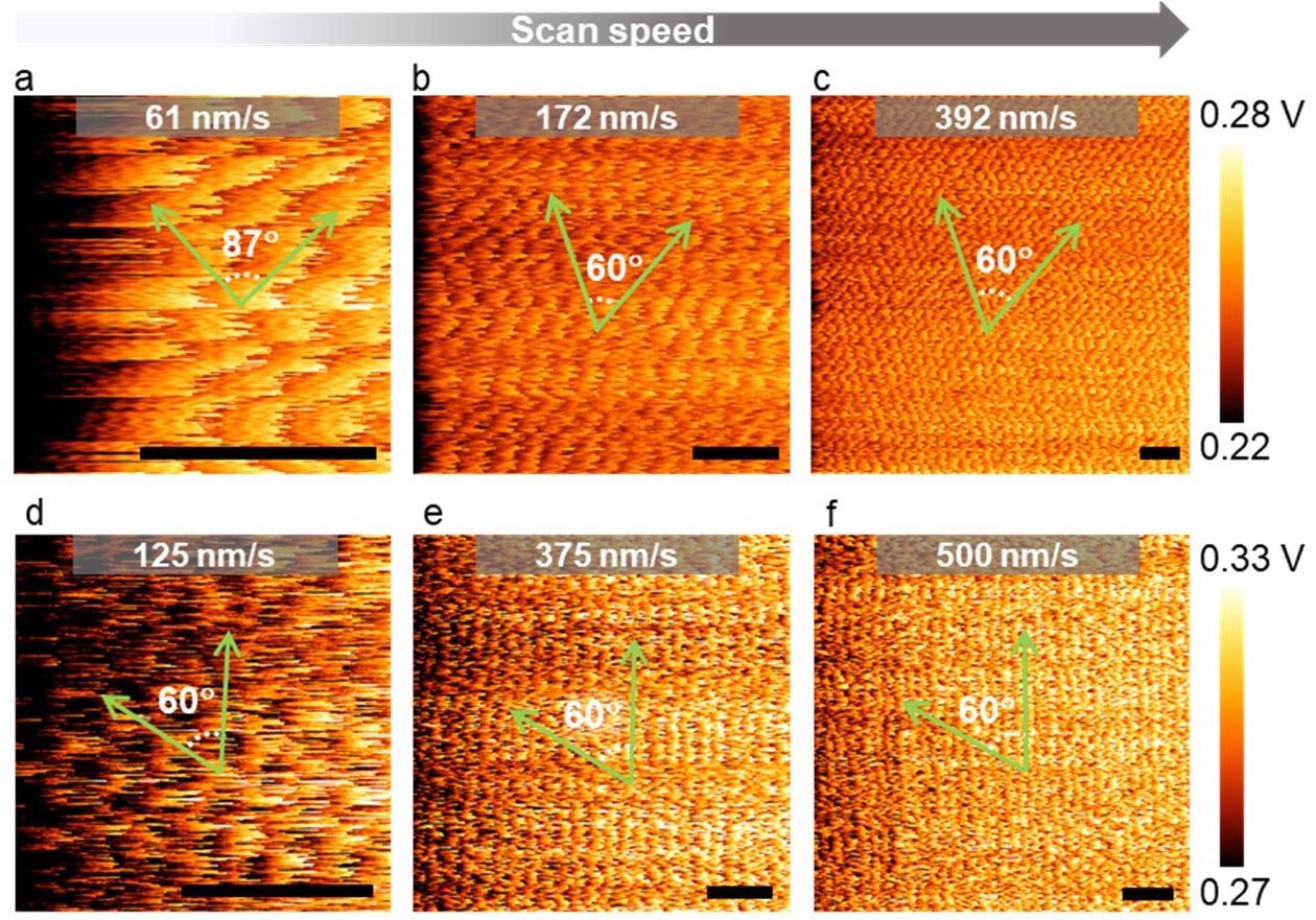 扫描速度对LFM晶格图像的影响（调整了颜色范围）。（A – C）Mose2在各种扫描速度下的LFM原始数据（校准比例尺：1 nm）;（D – F）在各种扫描速度（比例尺：1 nm）下石墨烯的LFM原始数据。所有绿色箭头都沿着锯齿形方向对齐。