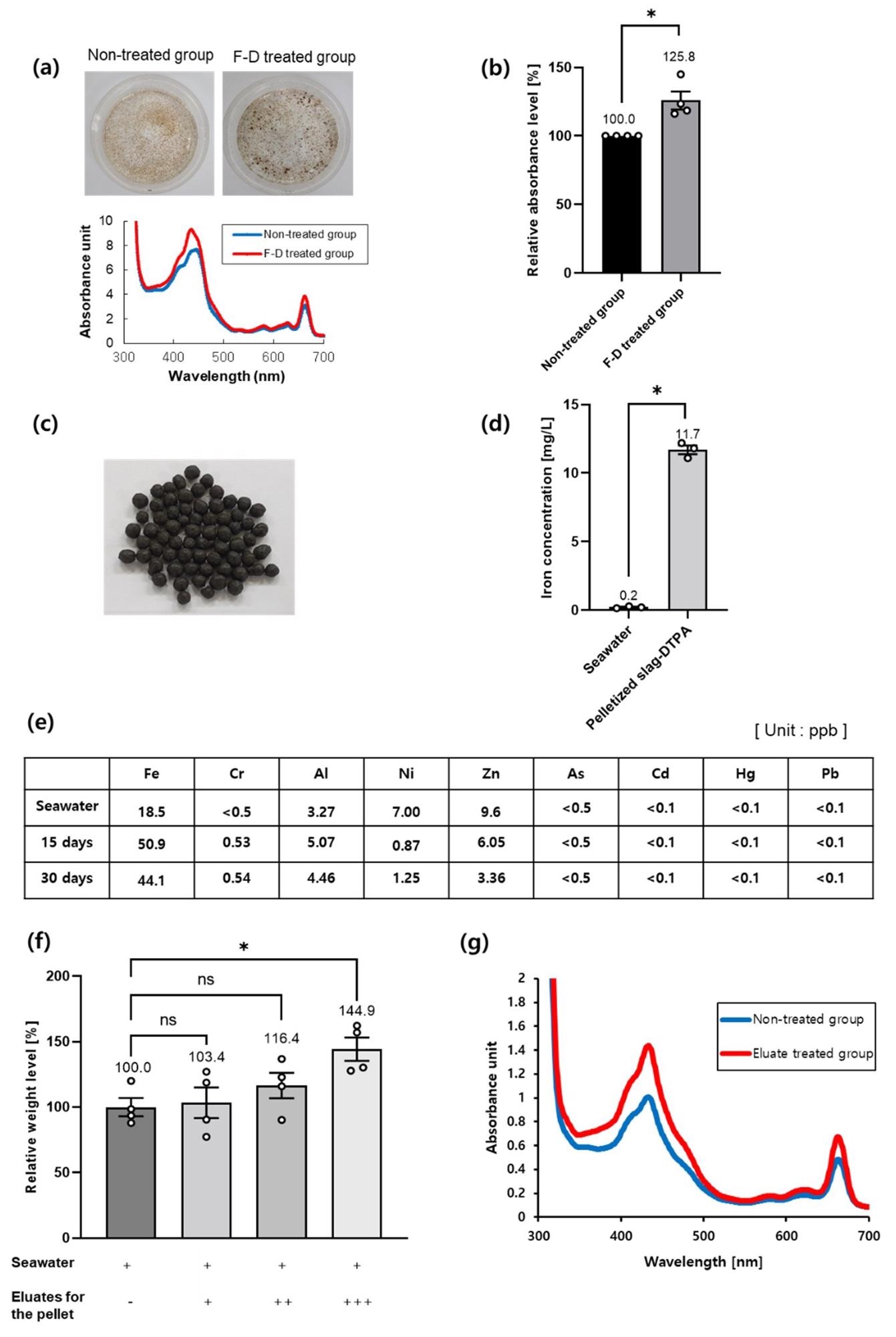 Slag-DTPA promotes seaweed growth. (a) Gametophytes of S. japonica were cultured in the Provasoli-enriched seawater (PES) media. The contents of photosynthetic pigments were measured by using a spectrophotometer. The non-treated group and F-D (Fe-DTPA) treated group absorbance levels were shown and compared. PES media was used as a negative control; (b) The absorbance levels of the non-treated group and the F-D (Fe-DTPA) treated group were measured and compared. (n = 4, * p < 0.05; unpaired Student’s t test; error bars indicate SEMs); (c) A picture of pelletized steel slag and DTPA is shown above; (d) The measurement was conducted with an ICP-MS (n = 3, * p < 0.05; unpaired Student’s t test; error bars indicate SEMs); (e) Element analyses for any potential toxic effects were performed for 30 days. The slag-DTPA pellets were applied in seawater for 30 days. The seawater was fully exchanged daily considering the case of the East Sea. The measurement was conducted by using ICP-MS; (f) The sporophytes of S. japonica were cultured and weights measured. The pellet was eluted in seawater for 48 h. -: negative control, + (Pelletized slag-DTPA): 0.01% of seawater weight, ++: 0.1% of seawater weight, +++: 1% of seawater weight (n = 6, ns, not significant, * p < 0.05; by ordinary one-way ANOVA followed by Dunnett’s multiple comparisons test; error bars indicate SEMs); (g) The photosynthetic absorption spectrum of the pelletized slag-DTPA eluate treated group and the non-treated (seawater only) group are shown above.