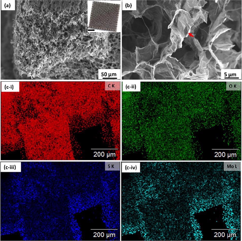 (a, b) Scanning electron micrographs of a 3D printed graphene/MoS2 aerogel (inset scale bar: 5 mm) and (c-i–iv) elemental image analysis of the GA/MoS2 aerogel.