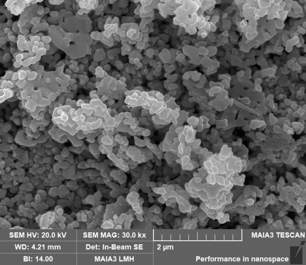 SEM images of Ni-NDAD/BiVO4 photoanodes after PEC degradation of the CTC test.