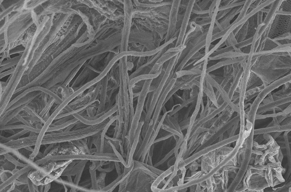 How Can We Obtain Useful Cellulose Polymer Fibers from Old Textiles?