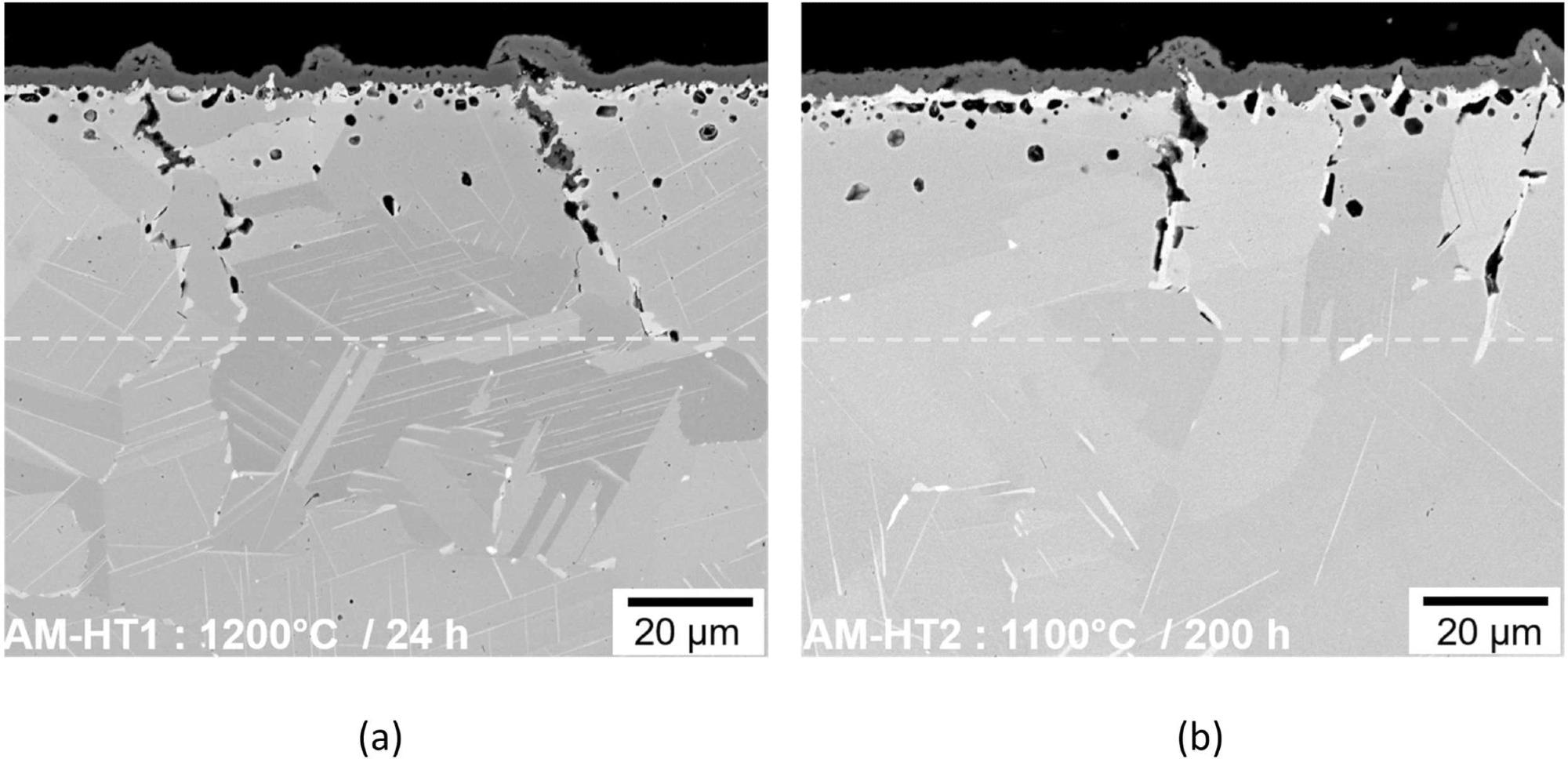 BSE images of oxide scales on heat-treated AM IN 625 after 168 h of air oxidation at 900 °C: (a) AM-HT1 (annealed for 24 h at 1200 °C) (b) AM-HT2: (annealed for 200 h at 1100 °C).
