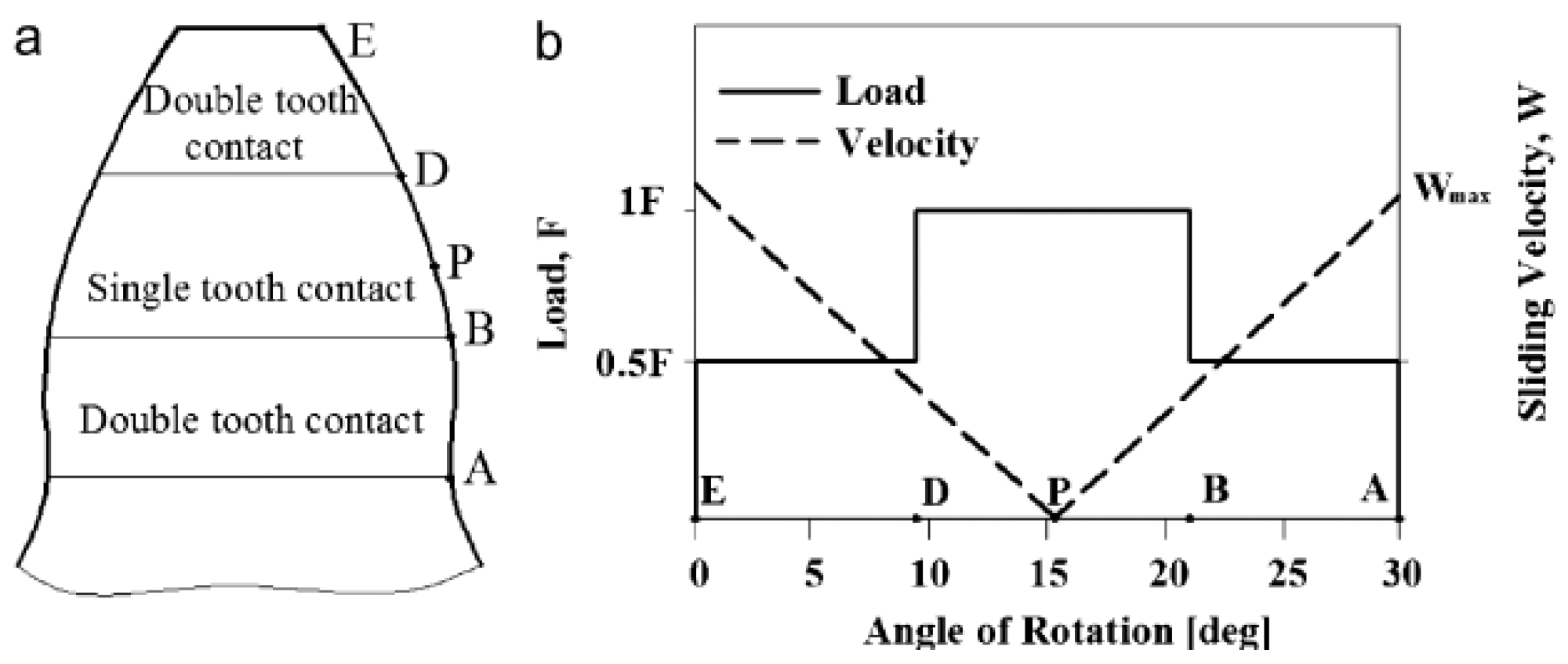 (a) Tooth contact areas and limits (b) load-surface velocity distribution.