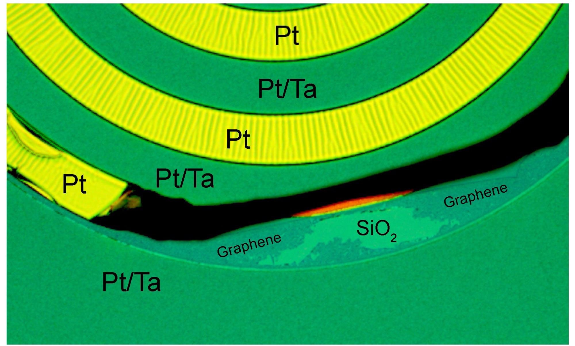 Optical micrograph of a wafer with lift-off patterned Ta structures, after the CVD graphene growth and before the Pt etch process step. Whereas the 50 nm Pt on top of 30 nm Ta is forming a flat surface, with Ta enhancing Pt adhesion, the intermediate regions with Pt show signs of weak adhesion (surface corrugation) and delamination. In a region where the Pt is delaminated, CVD graphene is observed on the SiO2, that corresponds to the graphene in Figure 4 after Pt etch.