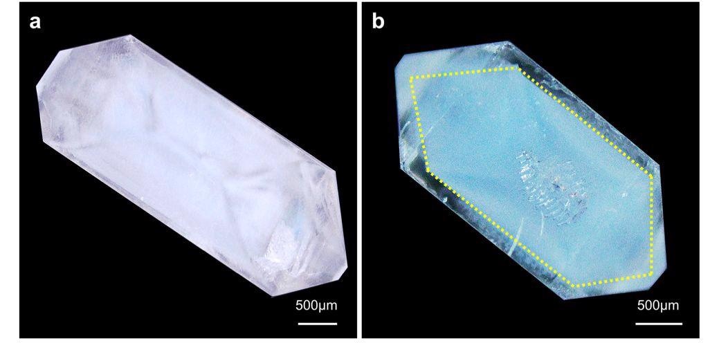 OM images of KDP crystals grown from (a) solutions and (b) silica hydrogels containing methyl blue molecules.
