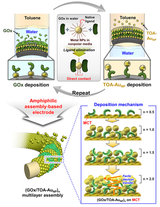 Amphiphilic Assembly-Based Electrode for High-Performance Hybrid Biofuel Cells