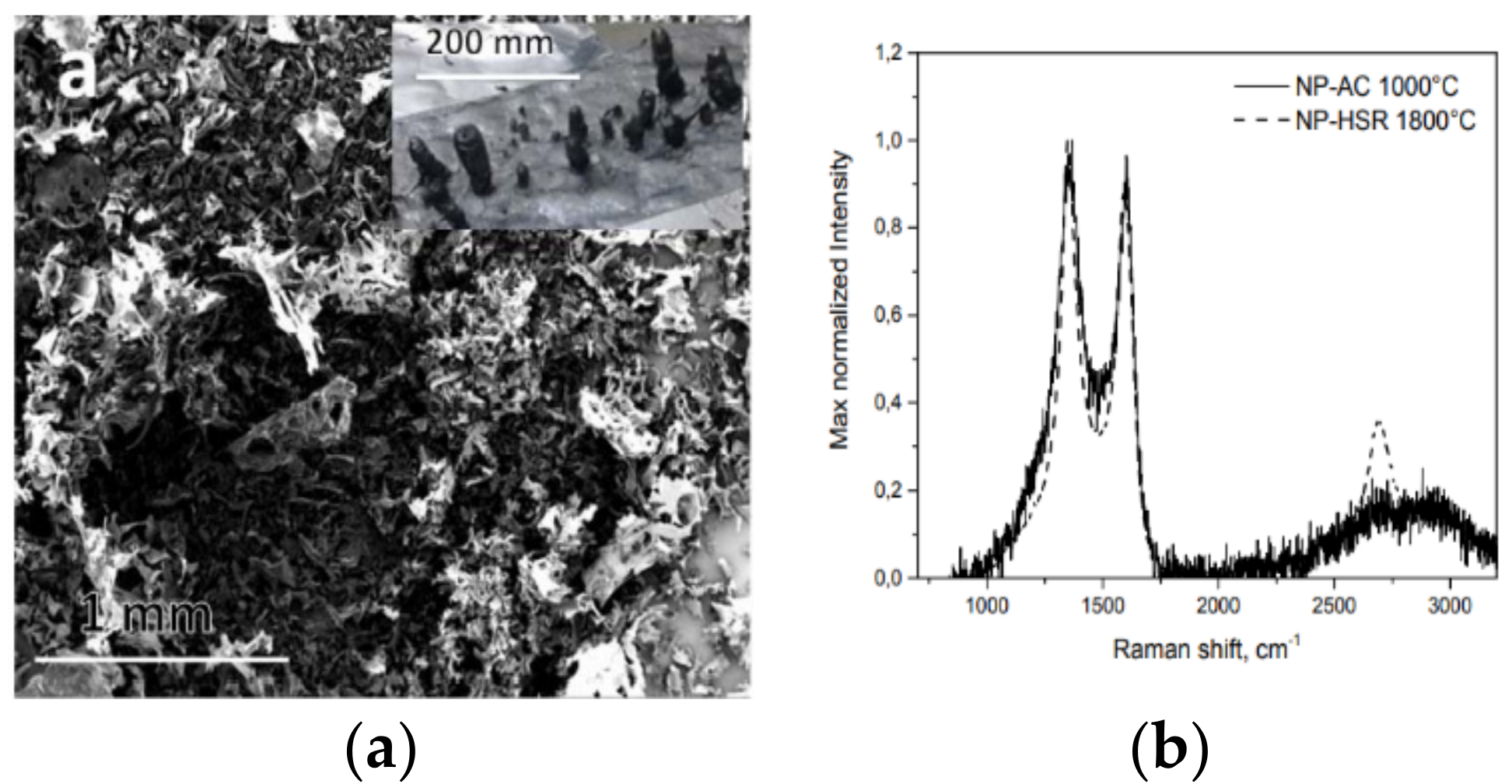Nanostructured carbon material produced from Pitch pyrolysis at 1800 °C. (a): SEM images and, in the indent, morphology of produced char; (b) Raman spectra (from [34]).
