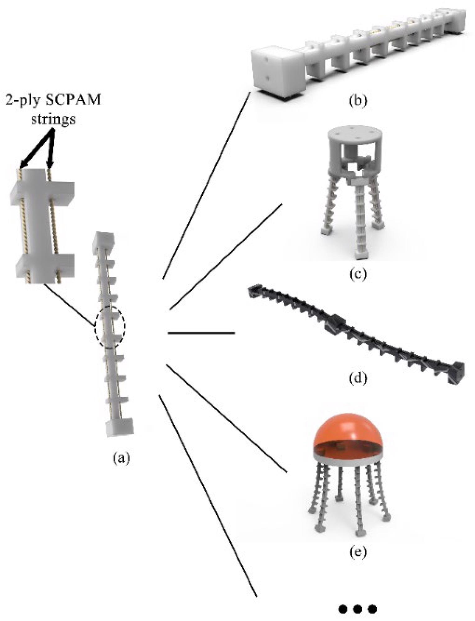 A single soft robot module and soft robots configured by the modules. (a) A single soft robot module, and chambers to configure the actuator and sensor. (b) An inchworm-inspired crawling robot. (c) A soft robotic gripper. (d) A snake-like manipulator. (e) A jellyfish-inspired robot with underwater swimming capability.
