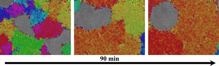 Modeling Nanoscale Crystal Dynamics in Easy-to-View System.