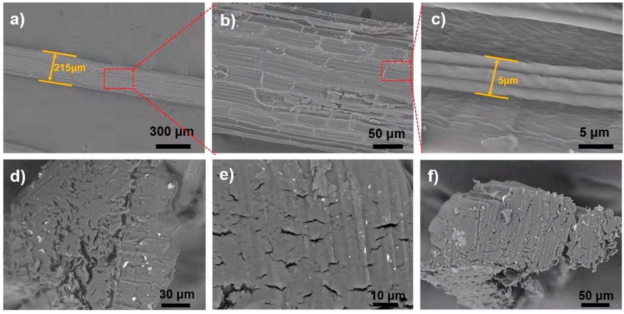Scanning electron micrograph of different segments of raw sisal fiber: (a) Cross-sectional view of raw sisal fiber and visual demonstration of numerous microfibrils intertwined with each other. (b) SEM image of the red rectangular area selected in panel (a). (c) Magnified SEM view of the marked red rectangular area from panel (b). (d–f) Cross-sections of a raw sample with different magnifications.