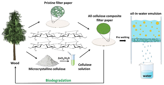 New Method Employs Biodegradable All Cellulose Composite Filter for Oil–Water Separation.