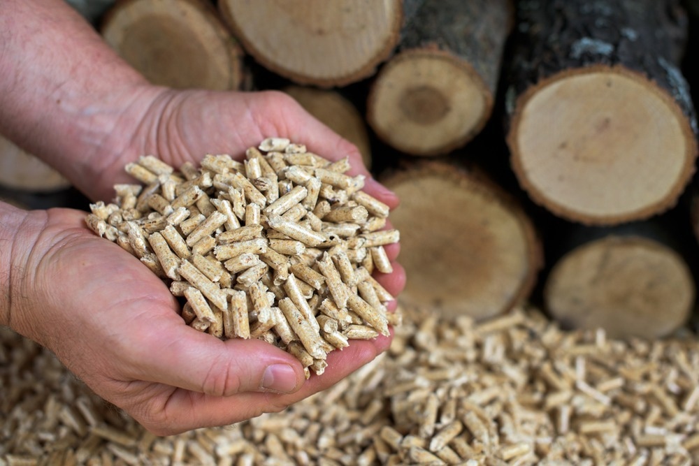 Biocarbon Materials Produced from Wood Pellets