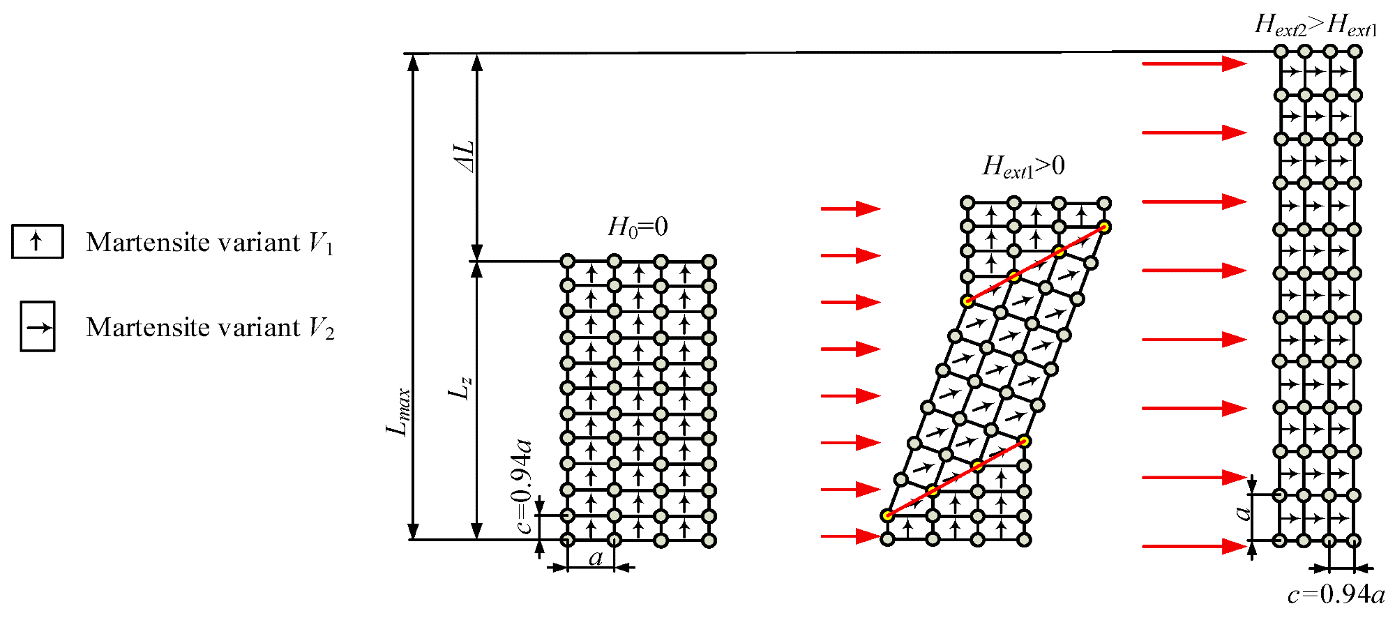 Deformation of a crystal lattice in a magnetic field, where a and c are the lengths of a single martensite cell (c = 0.94a).