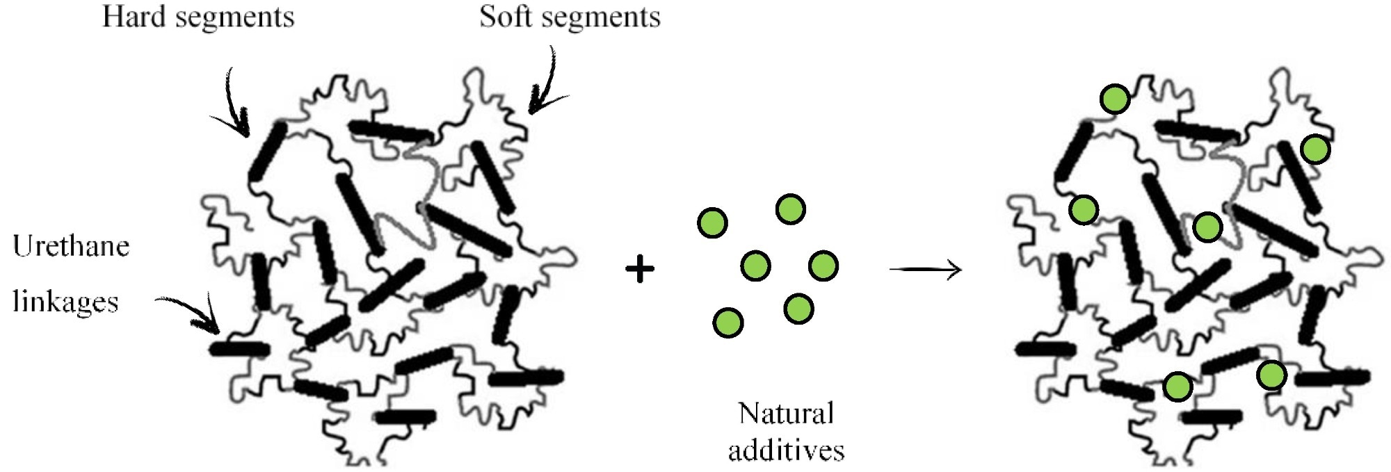 The impact of the natural additives’ addition on the crosslinking density of PUR composites.