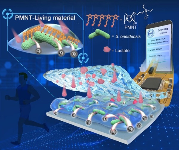 Flexible bioelectronic device to monitor lactate and tumor cells