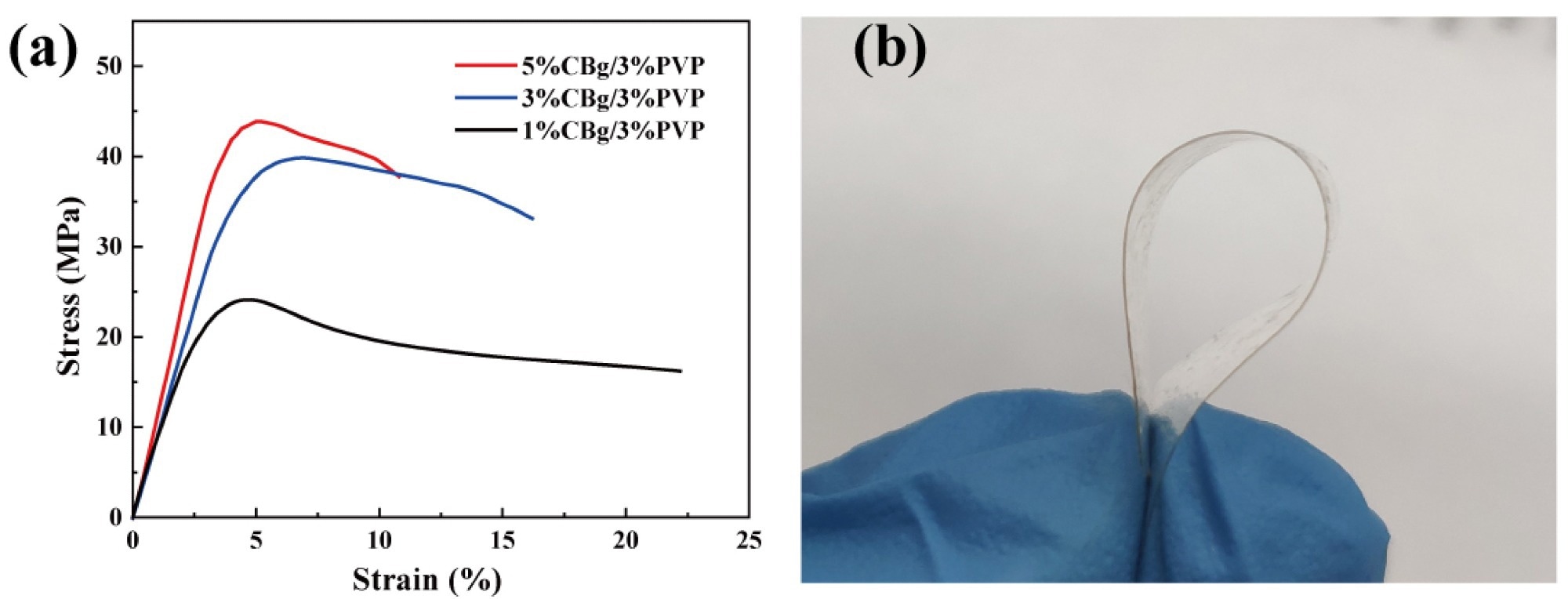 (a) Tensile testing of CBg/PVP films with different mass concentrations. (b) Photograph of 3% CBg/3% PVP film.
