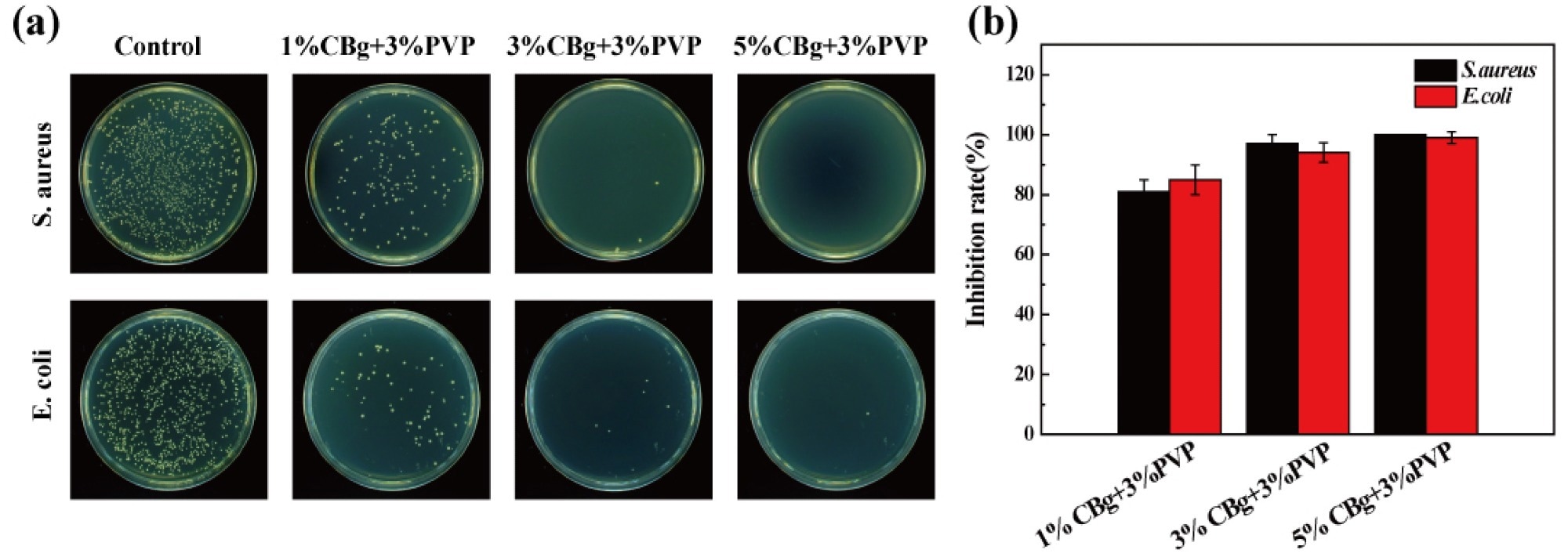(a) Antibacterial effect of different CBg/PVP films on S. aureus and E. coli. (b) Inhibition rate of different CBg/PVP films.