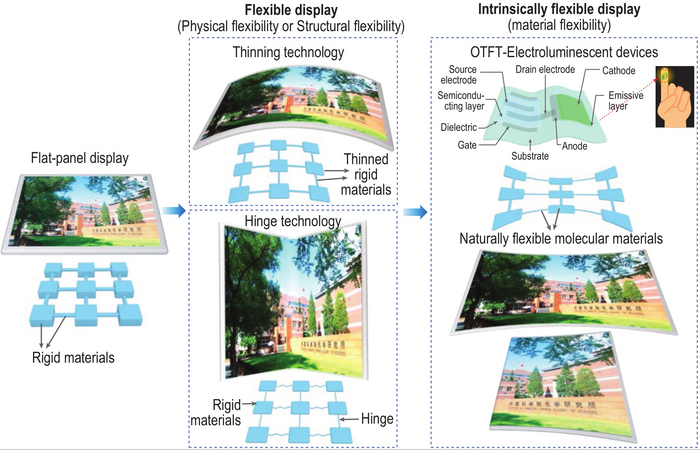 Recent Progress in the Field of Intrinsically Flexible Displays.