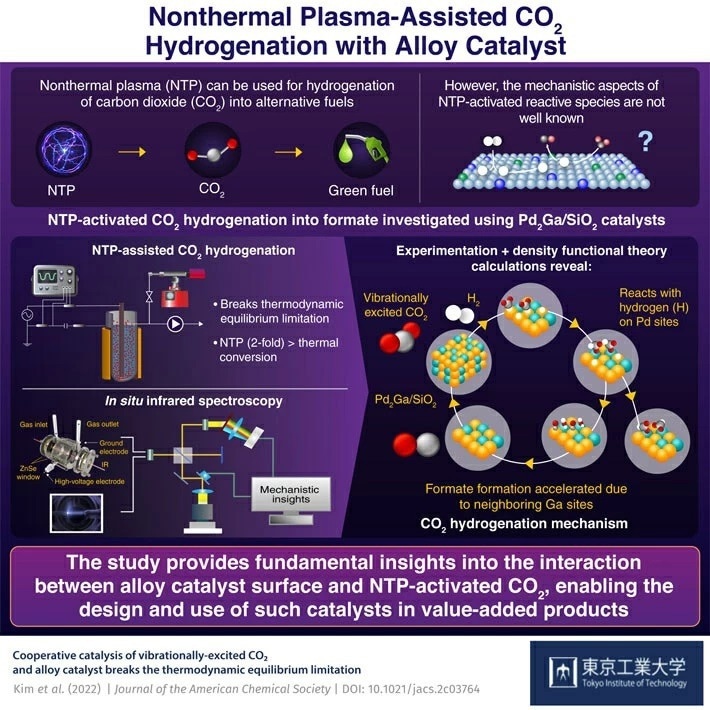 The Relationship Between Catalysts and NTP-Activated CO2.