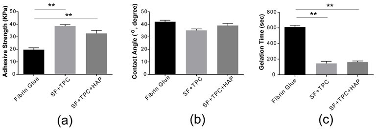 Structural analysis. (a) The adhesive strength of conventional fibrin glue was compared to silk fibroin protein in skin (SF + TPC) and in bone (SF + TPC + HAP). Silk fibroin showed about two times higher adhesive strength than conventional fibrin glue. (b) The contact angle of conventional fibrin glue was compared to silk fibroin protein in skin (SF + TPC) and in bone (SF + TPC + HAP). Overall, SF showed a lower contact angle compared to fibrin, suggesting greater hydrophilicity. (c) The gelation time. SF, silk fibroin; TPC, tannic acid and polyethylene glycol 2000 as curing agents; HAP, hydroxyapatite. n = 5. ** p < 0.001.