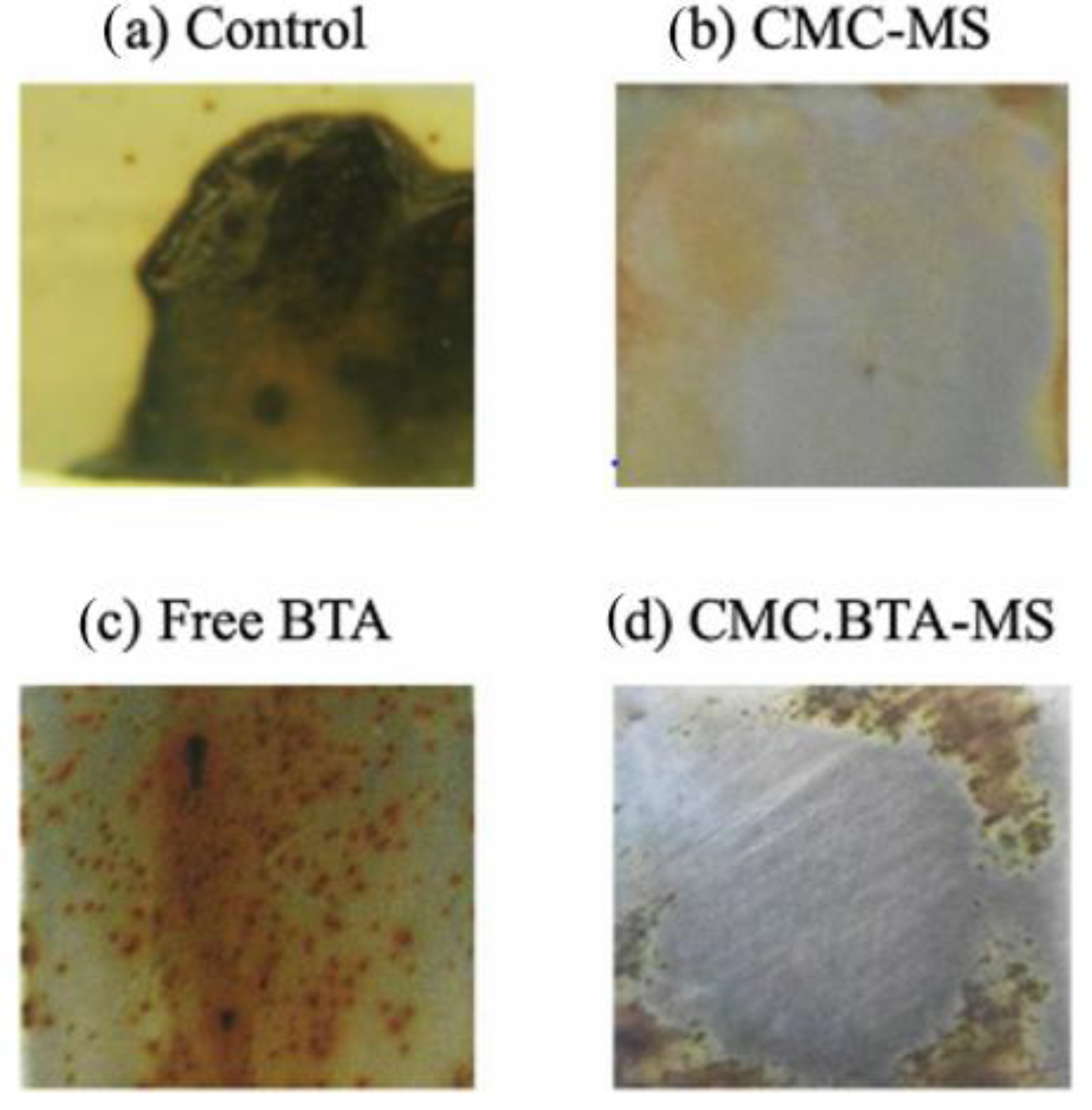 Photographs of carbon steel after 48 h of dip in NaCl sol. (a) Control material (b) CMC laden carbon steel (c) BTA free sample (d) CMC encapsulated BTA-MS [44].