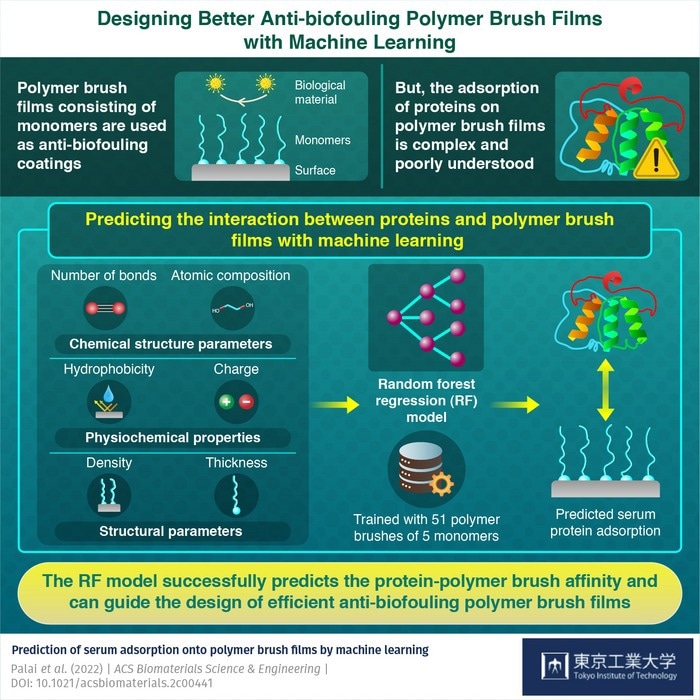 Using Machine Learning to Understand Film Properties that Affect Protein Adsorption.